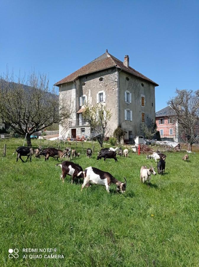 La Tour De Seythenex Villa Exterior photo